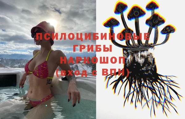 спайс Белокуриха