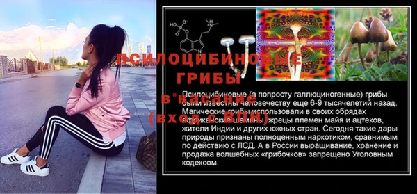 спайс Белокуриха